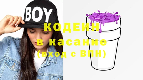 стаф Вяземский