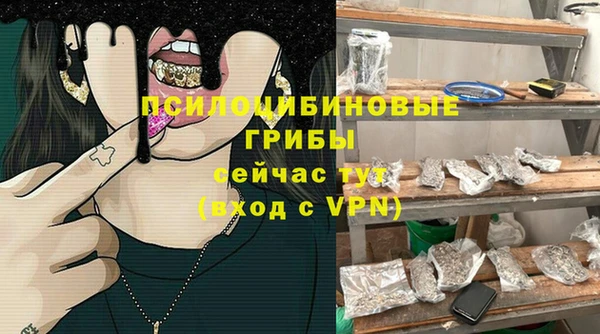 стаф Вяземский