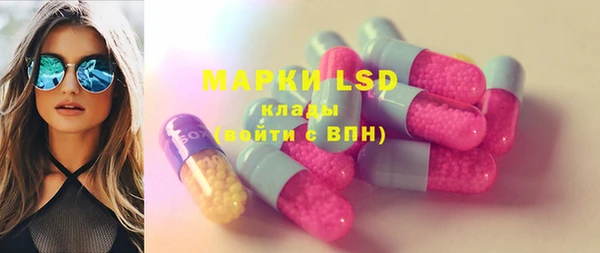 стаф Вяземский