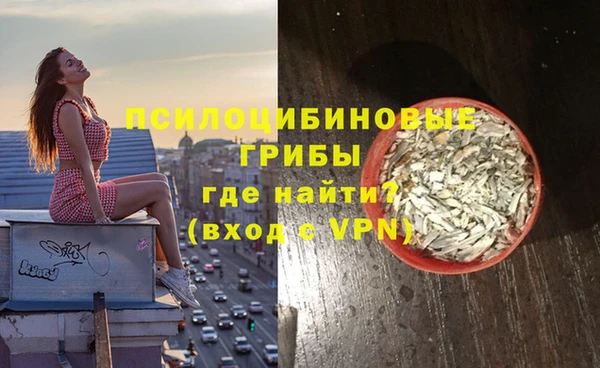 стаф Вяземский