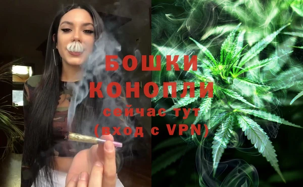 стаф Вяземский
