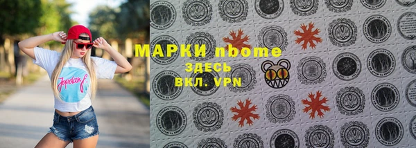 стаф Вяземский
