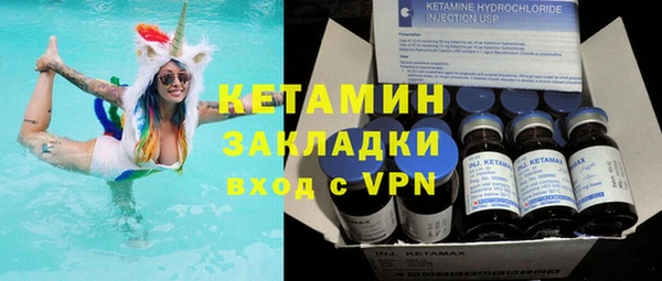 стаф Вяземский