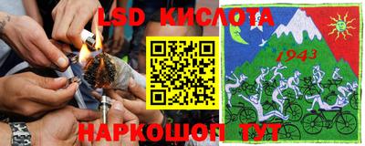 шишки Гусиноозёрск