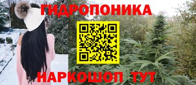 соль ск Гусь-Хрустальный