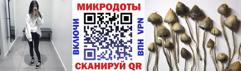 Псилоцибиновые грибы Magic Shrooms  Ноябрьск 
