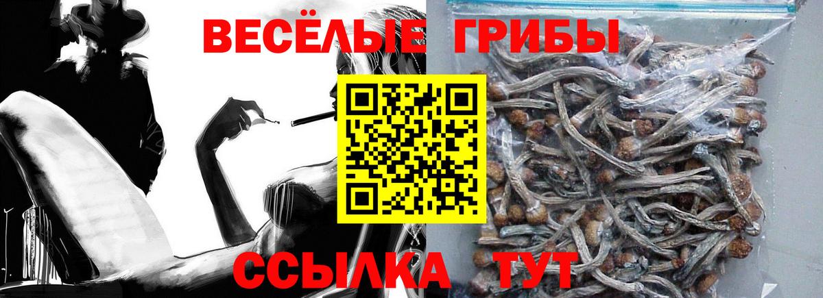 Псилоцибиновые грибы мухоморы  Псилоцибиновые грибы Magic Shrooms  Вход с VPN  Ноябрьск 
